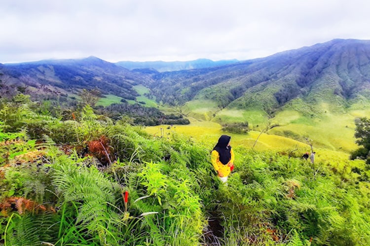 Bukit Teletubbies Bromo, Destinasi eksotis dengan savana hijau, tiket terjangkau, aktivitas seru untuk petualangan di alam Jawa Timur.