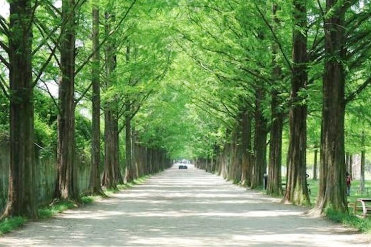 wisata cimahi, Curug Cimahi,Taman Kartini,Destinasi,Destinasi Wisata,Wisata,Destinasi Wisata Cimahi,Wajib Dikunjungi,Curug Cimahi,Curug Bugbrug,Alun-alun Cimahi,Alam Wisata Cimahi,Kampung Adat Cireundeu,Natural Hill Cisarua Alun-alun Cimahi